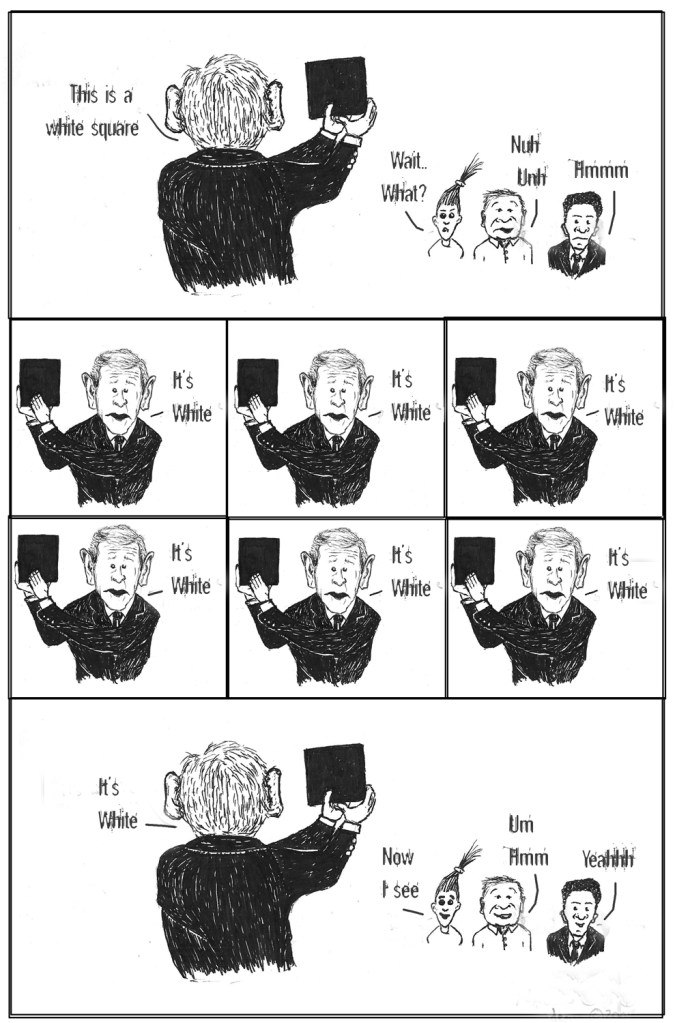 bush, black is white