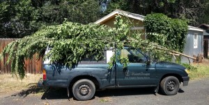 poppas cottage truck